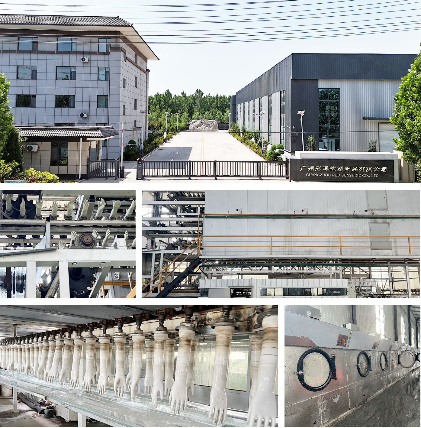 Gloves Factory of Guangzhou Red Sunshine Co., Ltd.