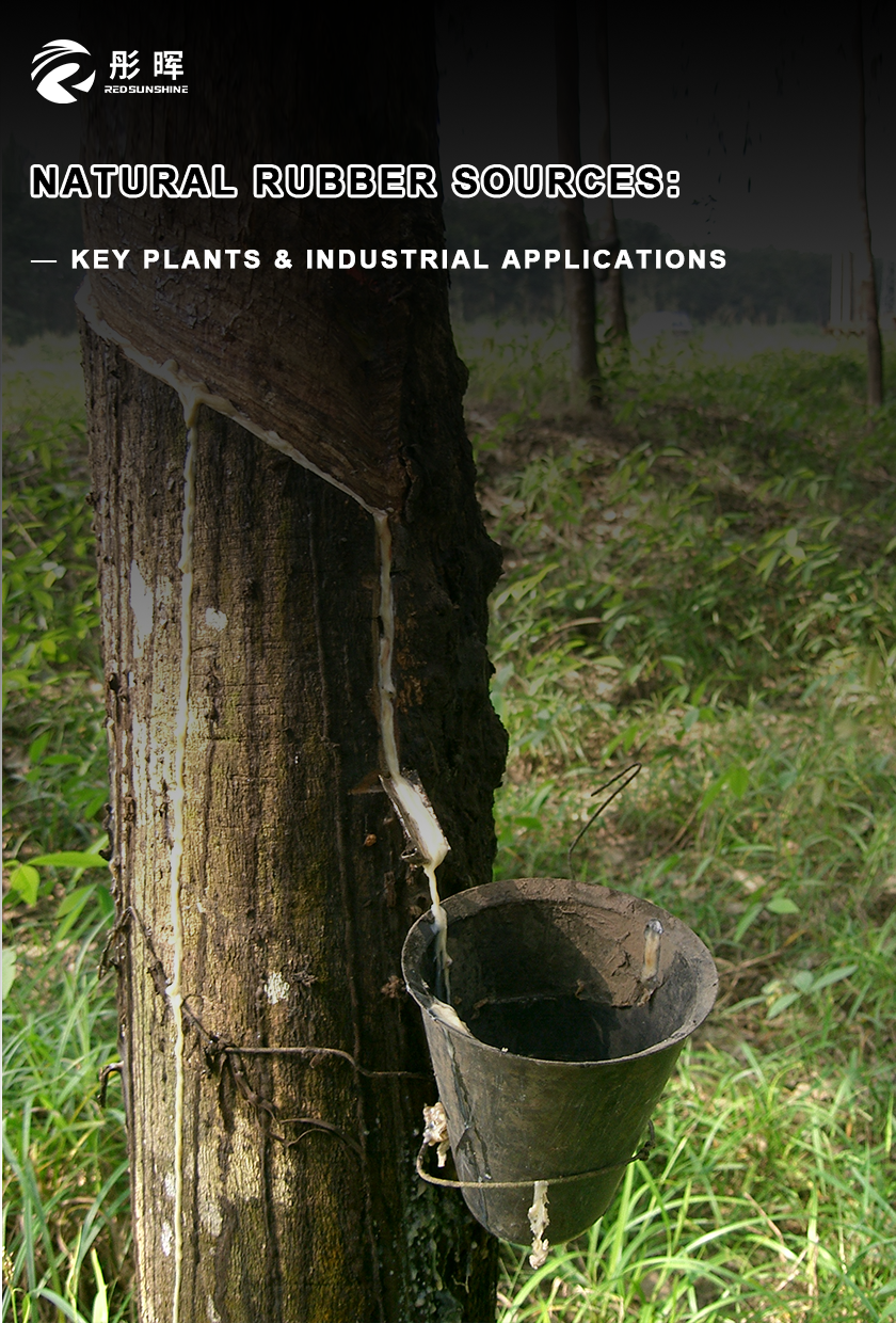 Natural Rubber Sources: Key Plants & Industrial Applications