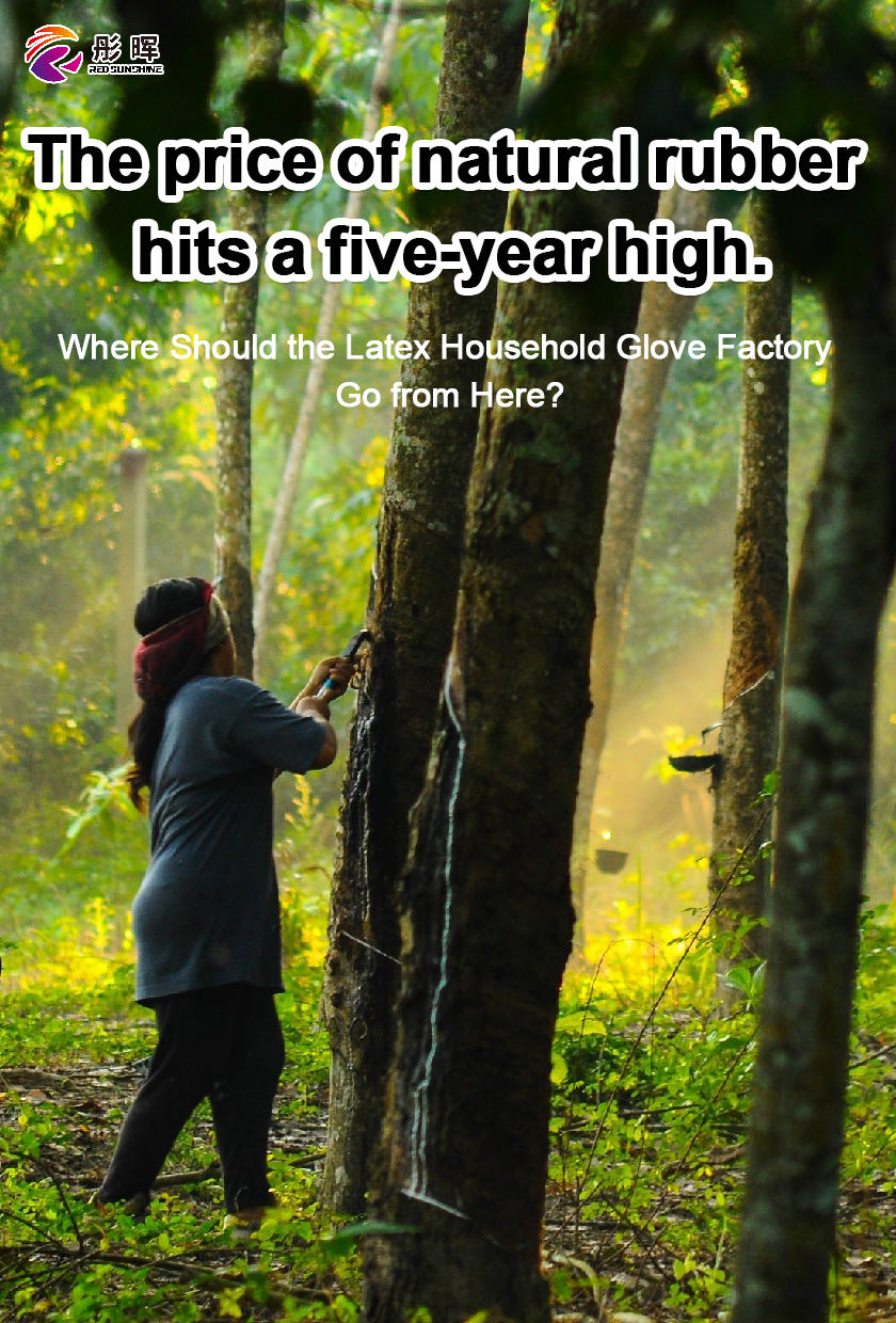 The price of natural rubber hits a five-year high